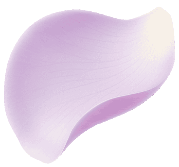 Viora - Izrada veb sajtova za salone