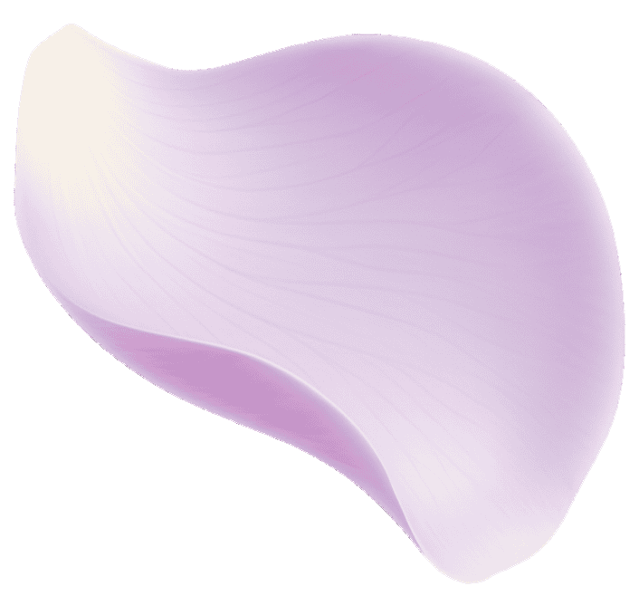 Viora - Izrada veb sajtova za salone